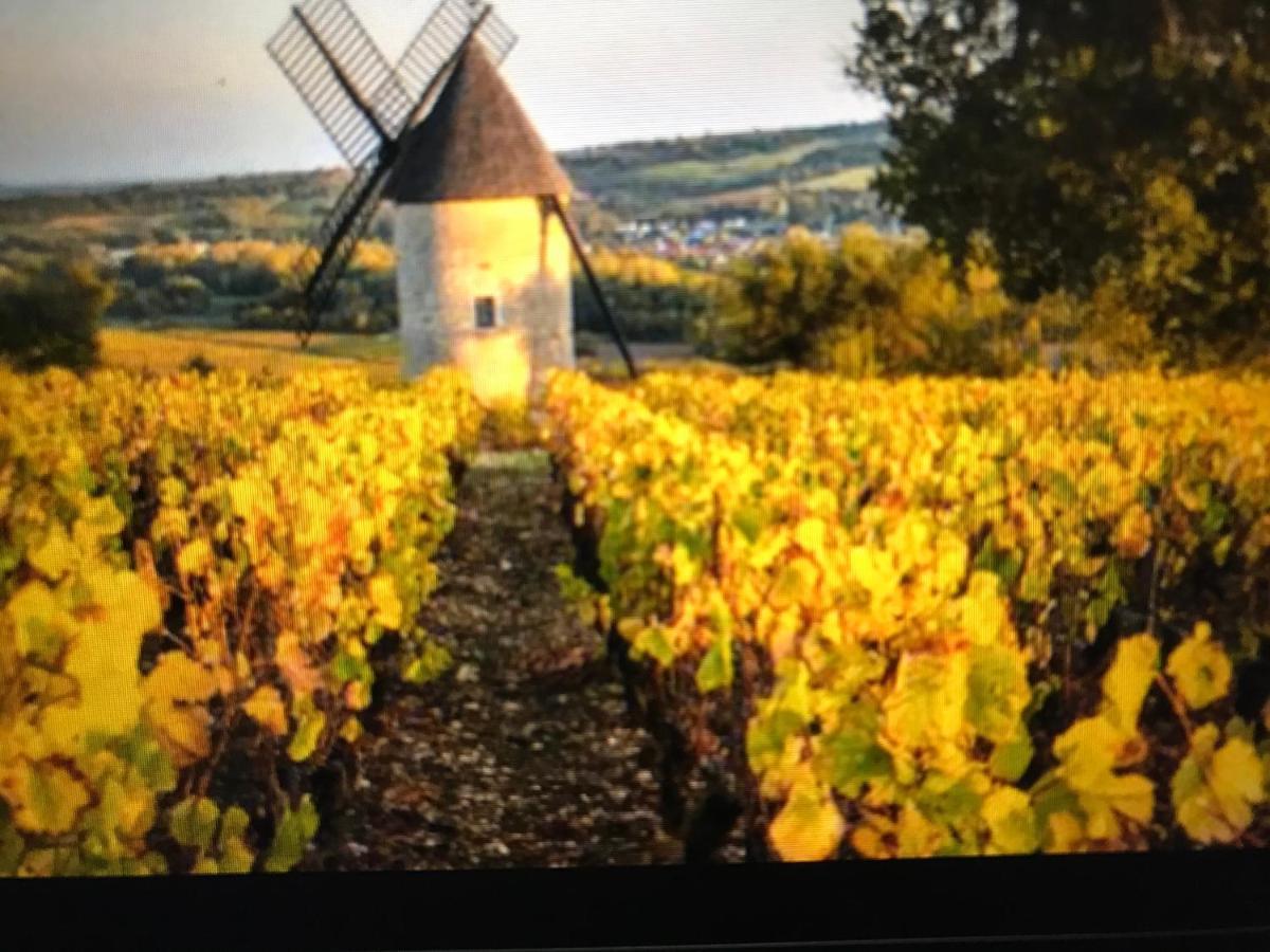 Maison M On The Dordogne Sainte-Foy-la-Grande Buitenkant foto